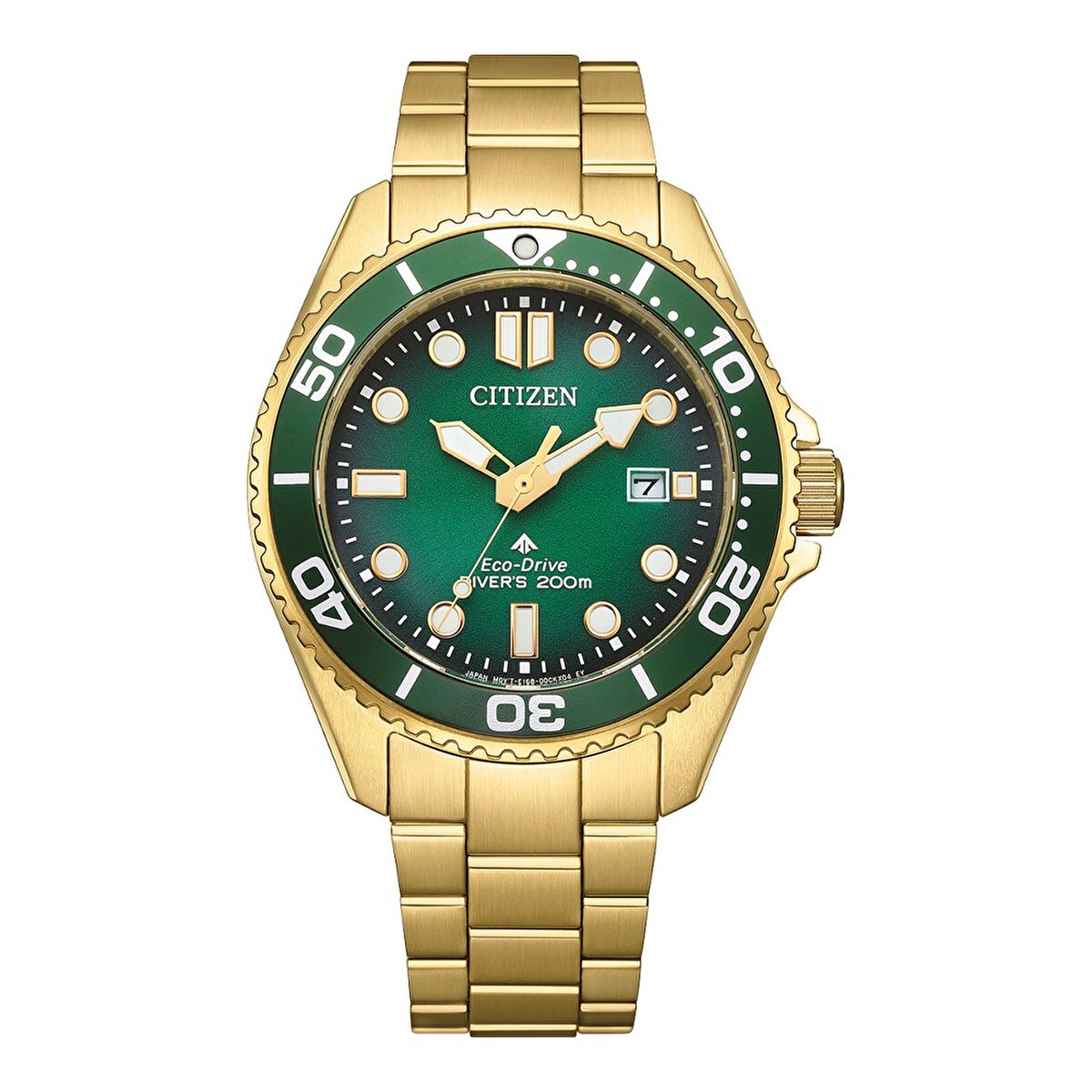 BN0262-59W.jpg