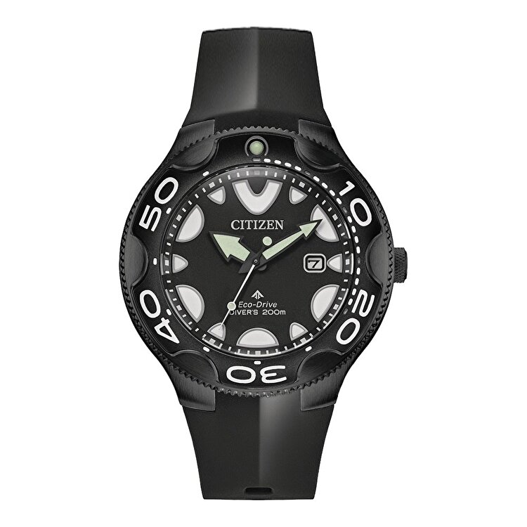 Citizen Promaster Eco-Drive Diver 
